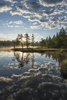 Lapland Province Scenery Drucke: Cloud reflection in a forest lake