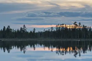 Drucke von Wolkenreflex in einem Waldsee, Norrbotten, Lappland, Schweden, Juli 2017 See Drucke: Wolkenreflex in einem Waldsee.