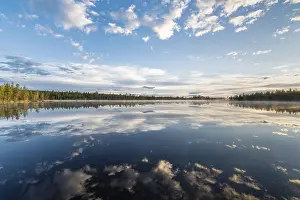 Drucke von Wolkenreflex in einem Waldsee, Norrbotten, Lappland, Schweden, Juli 2017 See Drucke: Wolkenreflex in einem Waldsee.