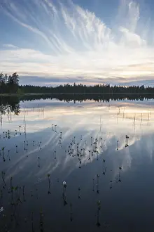 Scandinavian Travel Photography Drucke: Cloud reflection in a forest lake