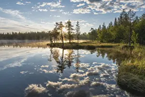 Drucke von Wolkenreflex in einem Waldsee, Norrbotten, Lappland, Schweden, Juli 2017 See Drucke: Wolkenreflex in einem Waldsee.