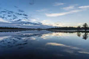 Drucke von Wolkenreflexion in einem Waldsee, Norrbotten, Lappland, Schweden, Juli 2017 See Drucke: Wolkenreflex in einem Waldsee.