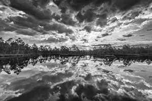 Drucke von Wolkenreflexion in einem Moorschlammsee, Naturreservat Knuthojdsmossen, Västmanland, Schweden, Juli 2018 Wolkenreflexion in einem Moorschlammssee, Naturreservat Knuthjdsmossen, Västmanland, Schweden See Drucke: Wolkenreflex auf einem Moorschlammsee.