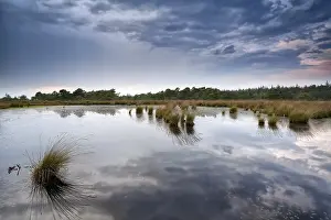 Netherlands Evening Mood Drucke: Clouded stormy sunset over bog