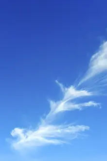 Cirrocumulus Clouds Drucke: Clouds