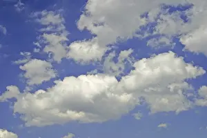 Blue Sky Clouds Drucke: Clouds in the blue sky