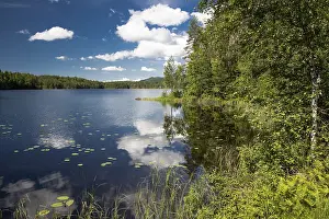 Cloudy Lake Reflection Drucke: Clouds and blue sky are reflected in a lake in the forest