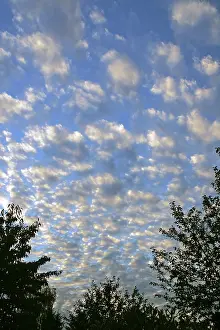 Atmospheric Light Effects Drucke: Clouds at blue sky in sunset light