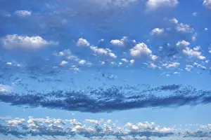 Nice Weather In Britain Drucke: clouds (Cumulus) lit by the evening sun