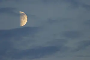 Cloudy Evening Sky Drucke: Clouds in the evening sky are covering partial the moon