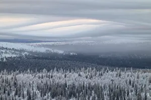 Cloudy Sky Over Mountains Drucke: Clouds over forested mountain ranges