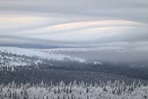Cloudy Mountain Range Drucke: Clouds over forested mountain ranges