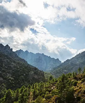 Cloudy Mountain View Drucke: Clouds over forested mountains