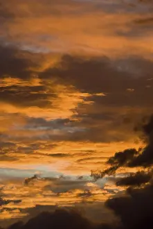 European Cloudy Landscapes Drucke: Clouds in a glowing orange sky