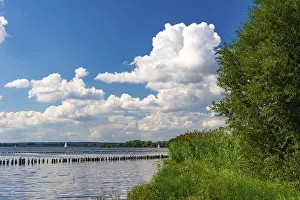Central Europe Countryside Views Drucke: Clouds and reeds at Lake Dummer