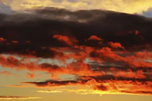 Deserted Morning Scene Drucke: Clouds in the sky at dawn, Germany