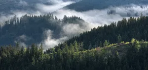 Thuringian Forest Landscape Drucke: Clouds in the Thuringian Forest
