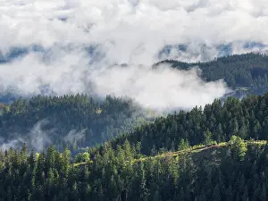 Wooded Landscape Photography Drucke: Clouds in the Thuringian Forest