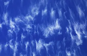 Cloudy Sky Background Drucke: Cloudy sky with feather clouds