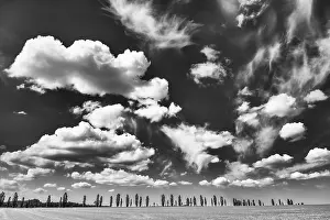 Central Europe Open Air Drucke: Cloudy sky over a row of poplars