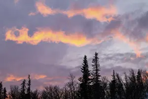 Cloudy Scandinavian Sky Drucke: Cloudy sky over trees, Gallivare