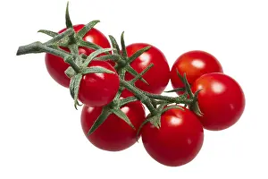 European Fruit Vegetables Drucke: Cluster of tiny cherry tomatoes (ciliegini)