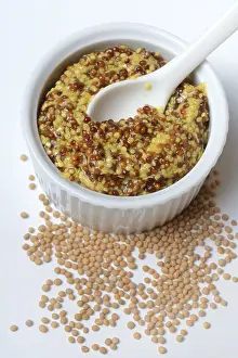 Western European Cuisine Drucke: Coarse-grained Dijon mustard in shell