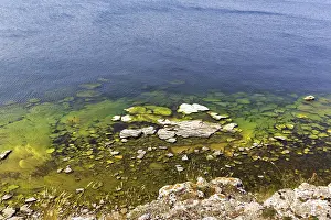 Scandinavian Coastal Scene Drucke: Coastal area, algae bloom, algae