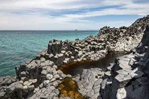 Basalt Cliffs New Zealand Drucke: Coastal basalt cliffs, basalt columns