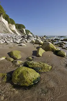 Steep Rocky Coastlines Europe Drucke: Coastal cliffs, shingle beach and chalk cliffs