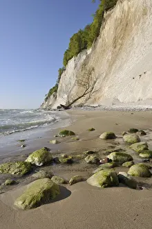 Coastal Cliffs Drucke: Coastal cliffs, shingle beach and chalk cliffs