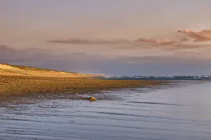 Deserted Beach France Drucke: Coastline in the evening light