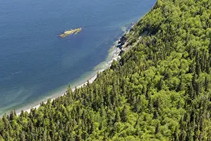 Deserted Coastline Scene Drucke: Coastline and forest