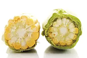 Sweet Corn Nutrition Drucke: Cob of corn cut in half