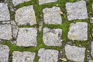 Paving Stone Texture Drucke: Cobbles