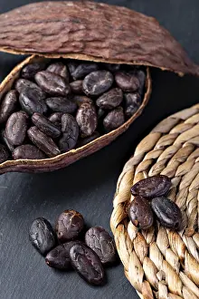 Cocoa Pods Drucke: Cocoa Pod And Beans on a table