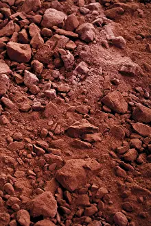 Calorie Rich Food Drucke: Cocoa powder, full format