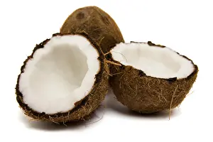 Isolated Animal Drucke: Cocoes