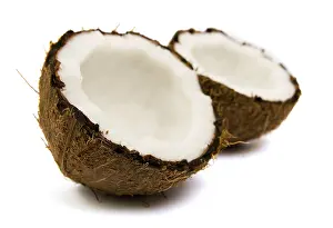 White Studio Background Animal Drucke: Cocoes