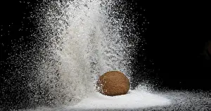 Studio Shot Nutrition Drucke: Coconut (cocos nucifera), Fruit and Powder Exploding against Black Background