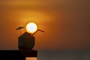 Tropical Evening Sky Drucke: Coconut at sunset on the beach