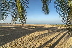 West African Coast Drucke: Coconut trees on the beach of Cape Point
