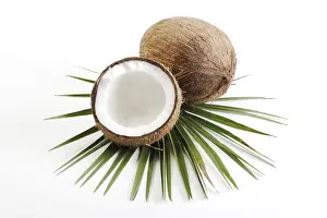 Coconut Nutrition Drucke: Coconuts, one halved, palm leaf