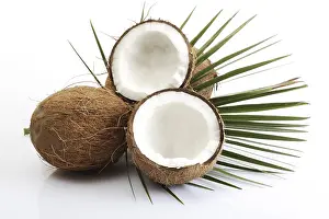 Cut Fruit Photography Drucke: Coconuts, one halved, palm leaf
