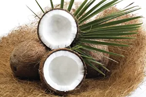 Studio Food Shots Drucke: Coconuts, one halved, palm leaf