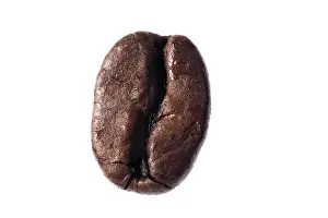 Coffee Bean Macro Photography Drucke: Coffee bean