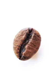 Coffee Bean Drucke: Coffee bean