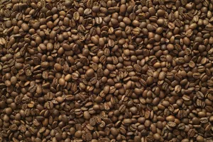 Studio Shot Backgrounds Drucke: Coffee Beans