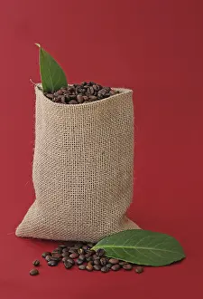 Studio Shot Of Coffee Beans Drucke: Coffee beans in a burlap sack