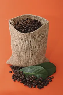 Studio Background For Food Photography Drucke: Coffee beans in a burlap sack